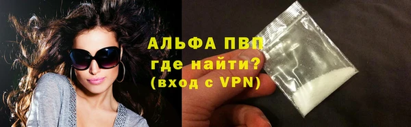 шишки Арсеньев