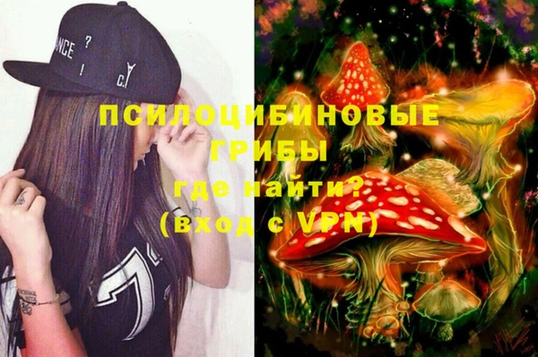 шишки Арсеньев