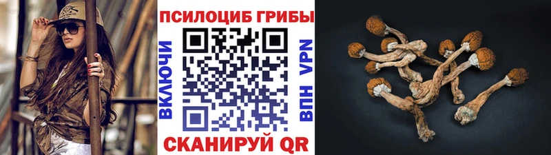 Галлюциногенные грибы MAGIC MUSHROOMS  Сосновка 